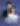 image-The Heiresses