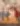 image-My Genius Quintuplets
