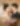 image-Ein Kuss voller Schmerz und Liebe