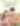 image-Marriage with the Rural Tycoon