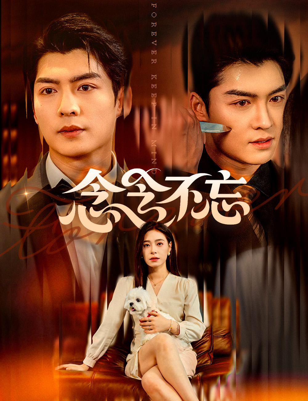 《念念不忘》封面