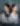 image-Bestie, I'm Sorry