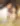 image-
