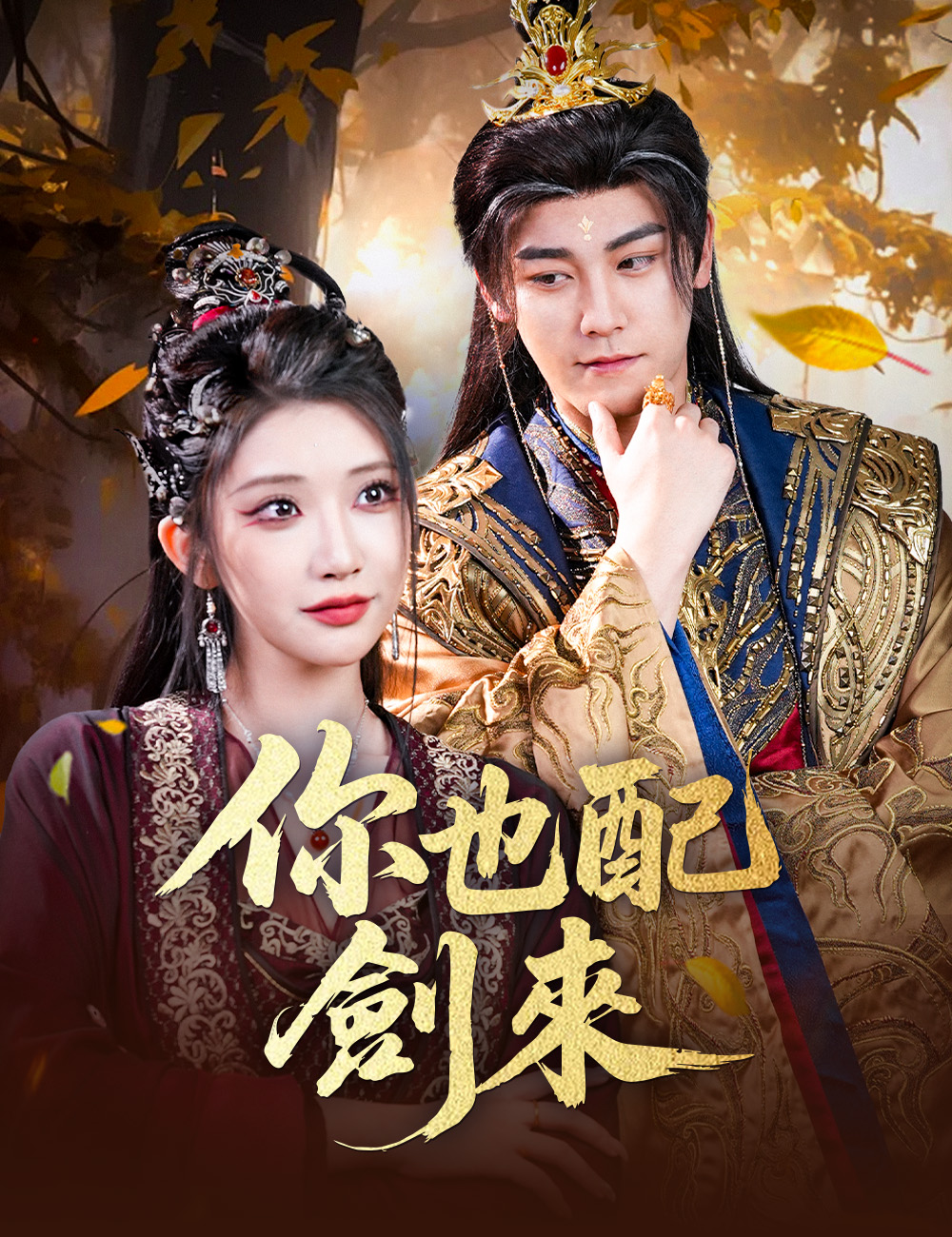 《你也配劍來》封面