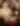 image-Alliance pour la justice conjugale