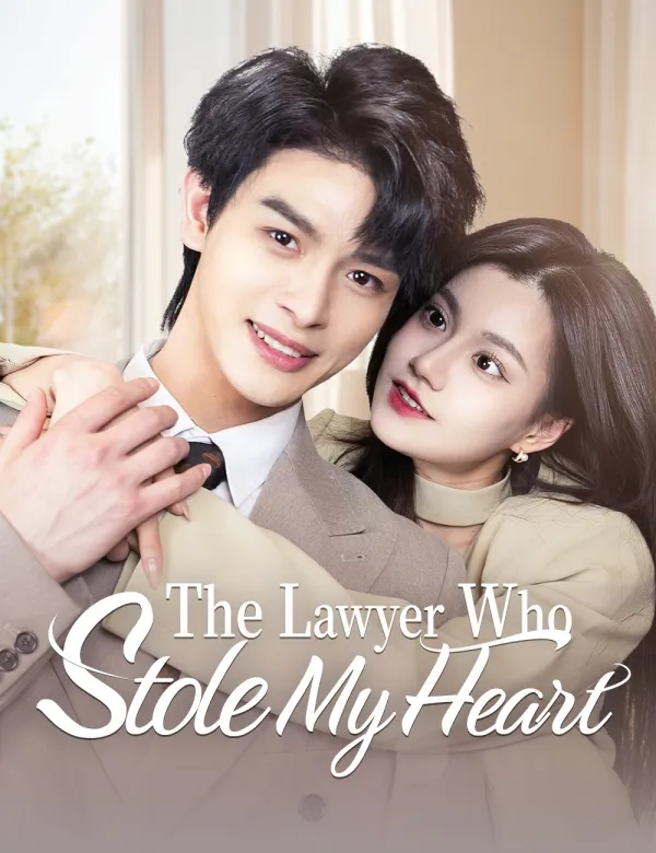 image-The Lawyer Who Stole My Heart
