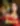 image-กุหลาบมีหนาม