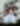 image-명사 시스템 적합도100%