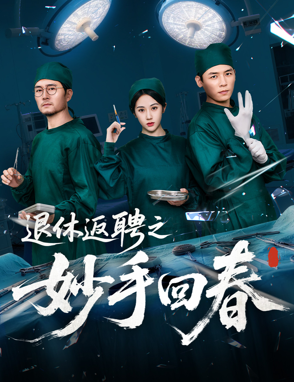 《退休返聘之妙手回春》封面