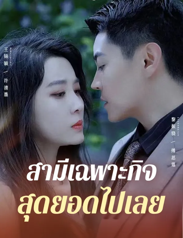 image-สามีเฉพาะกิจสุดยอดไปเลย