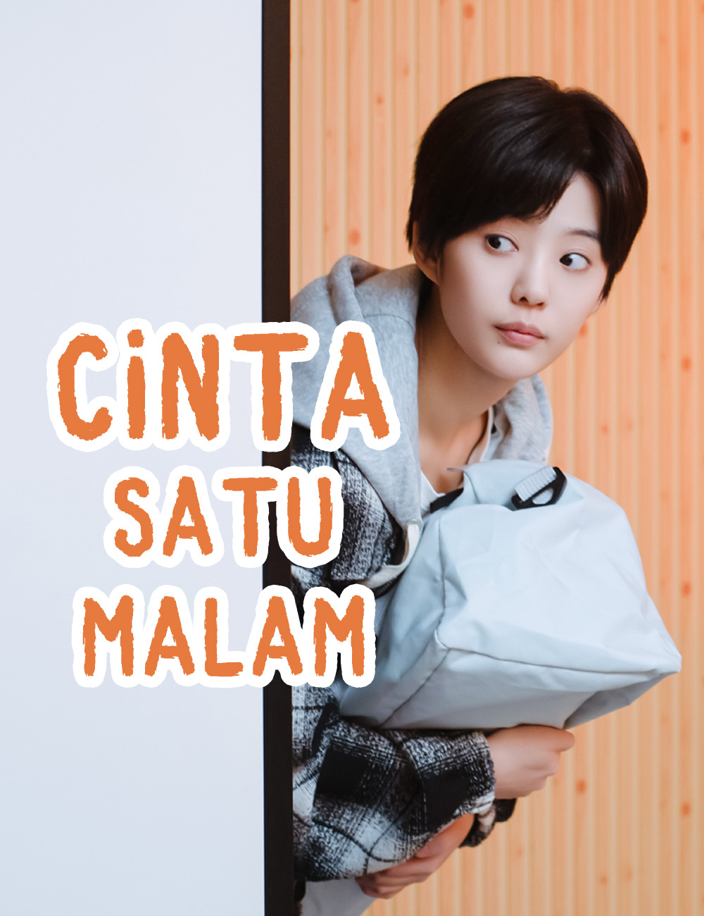 Cinta Satu Malam