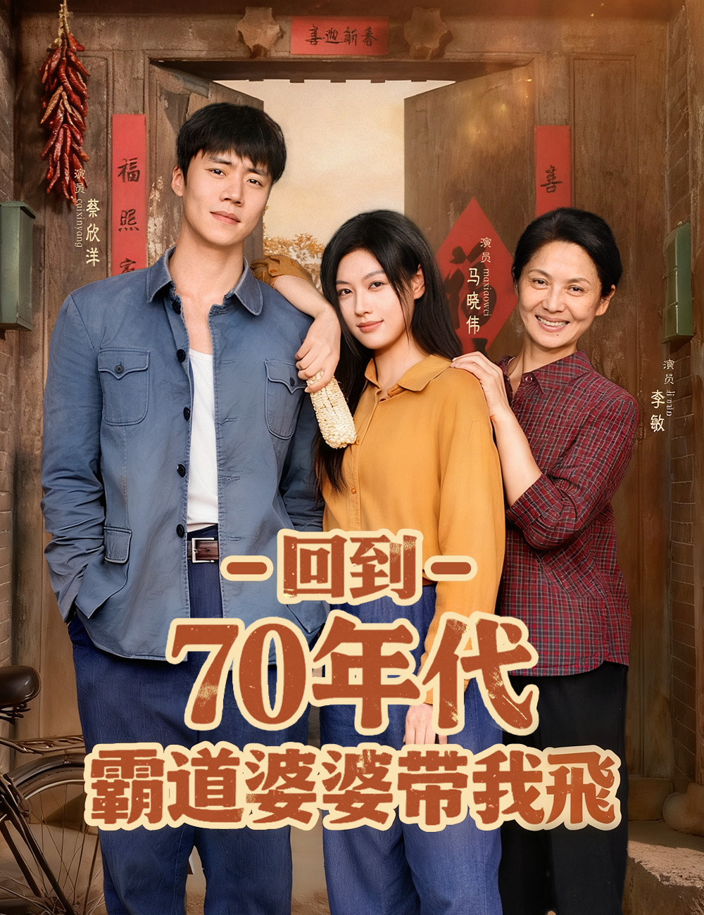 《回到70年代霸道婆婆帶我飛》封面