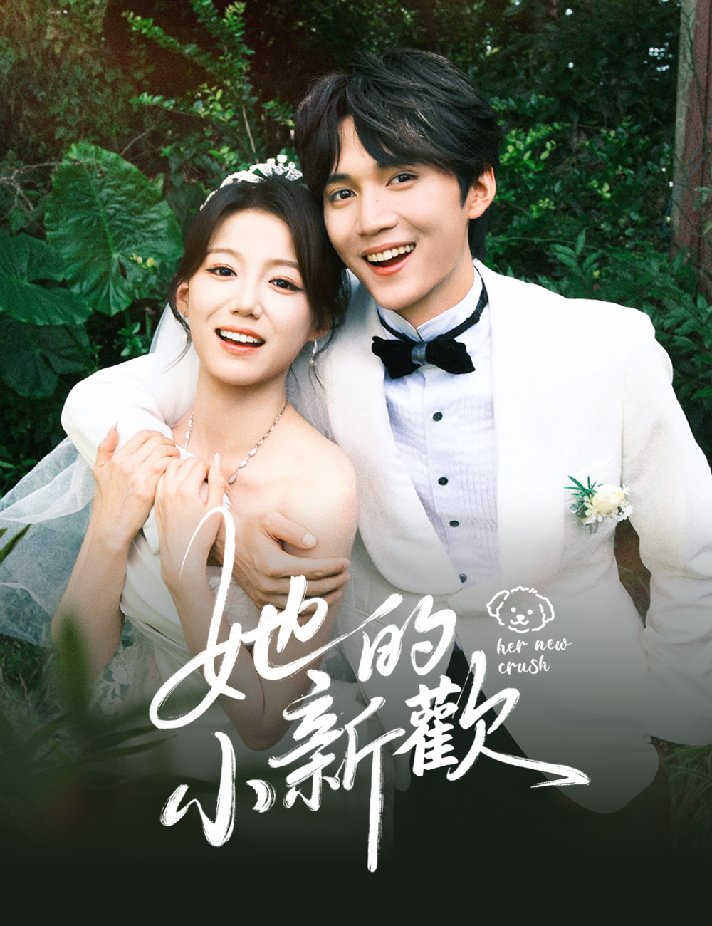 《她的小新歡》封面