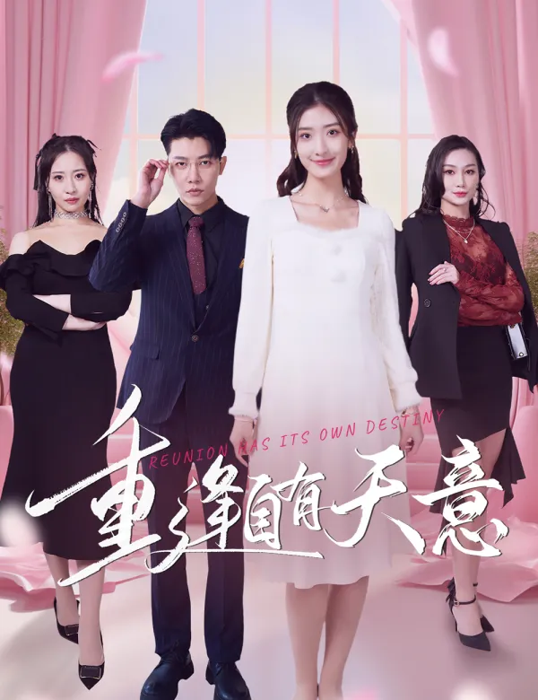 image-重逢自有天意