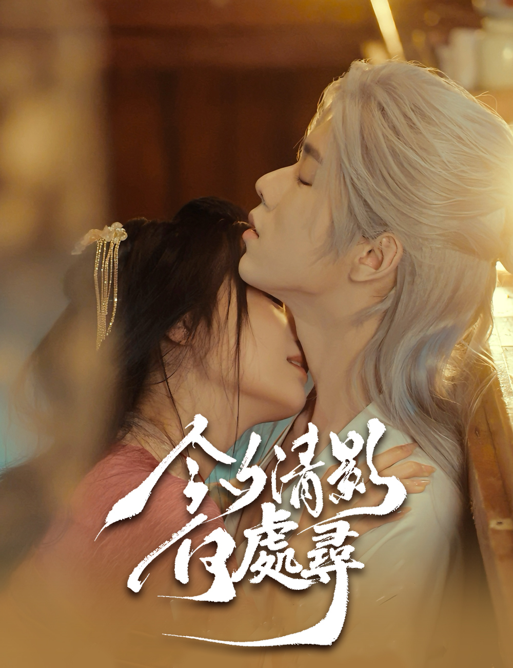 《今夕清影何處尋》封面
