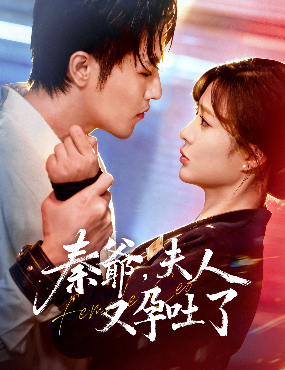 《秦爺夫人又孕吐了》封面