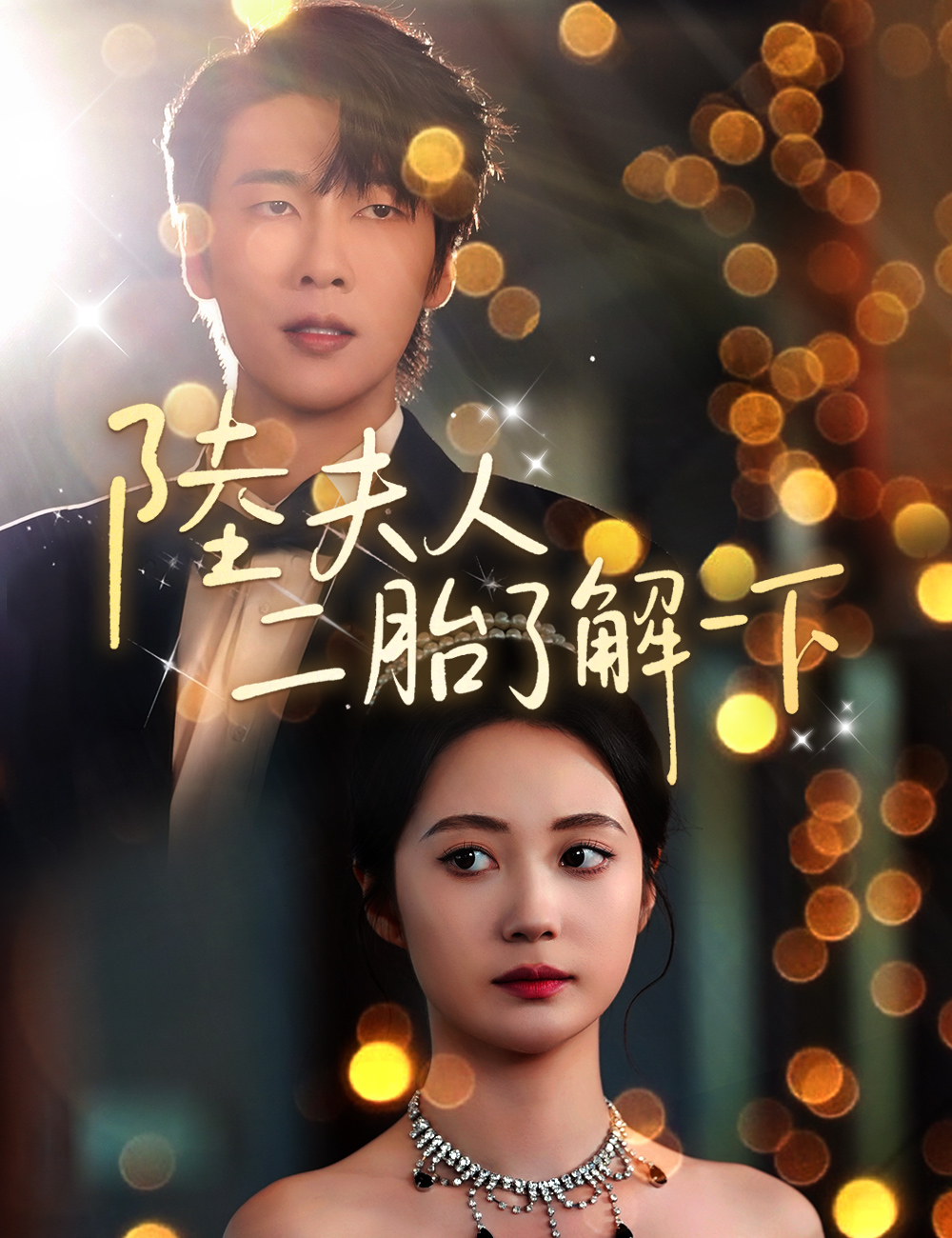 《陸夫人，二胎了解一下》封面